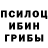 Псилоцибиновые грибы Psilocybe Daniel Augustsson