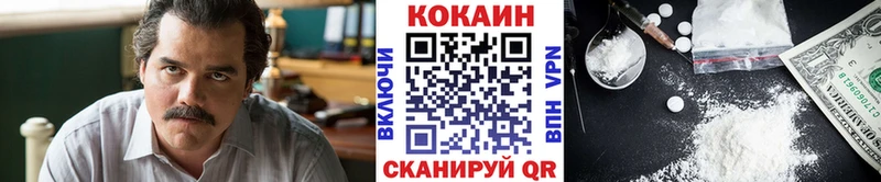 КОКАИН Fish Scale  Олонец 