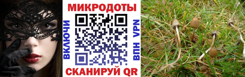 как найти   Олонец  Галлюциногенные грибы мухоморы 