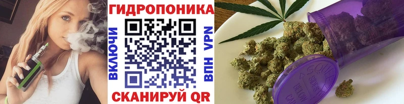 Канабис гибрид  Олонец 